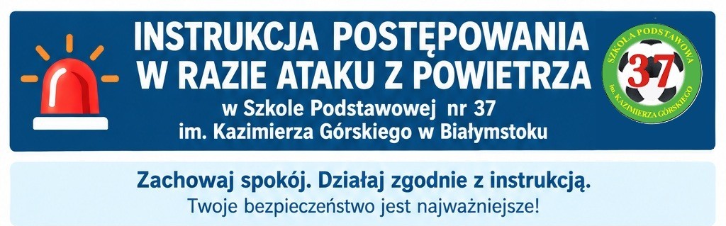instukcja_mini.jpg