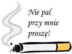 nie_pal.jpg