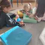 IMG_20241018_121948.jpg