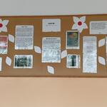 46dca423-c59f-4246-b4a5-58d8cdedf6a4.jpg