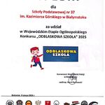 odblaski_1.jpg